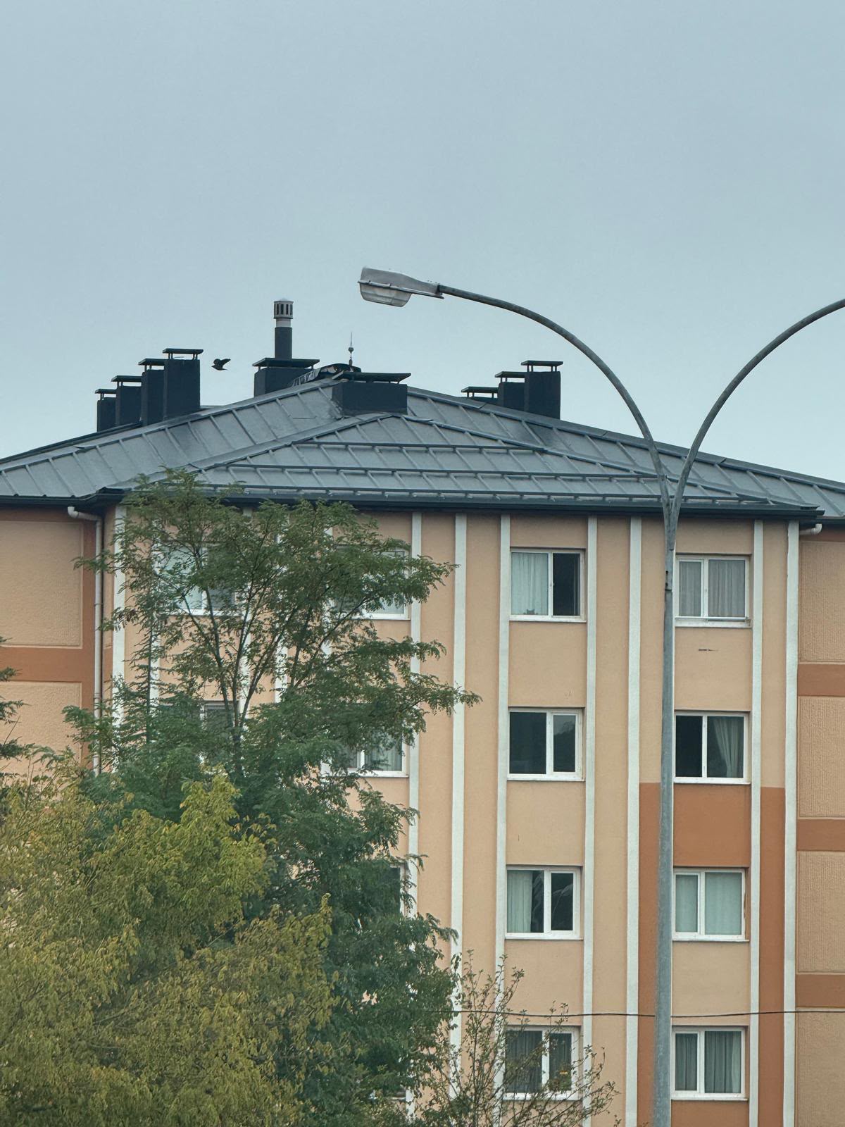 Projelerimiz 09